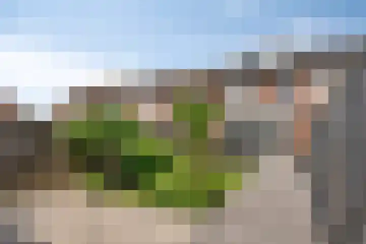De Pol 25 Doesburg thumbnail 5