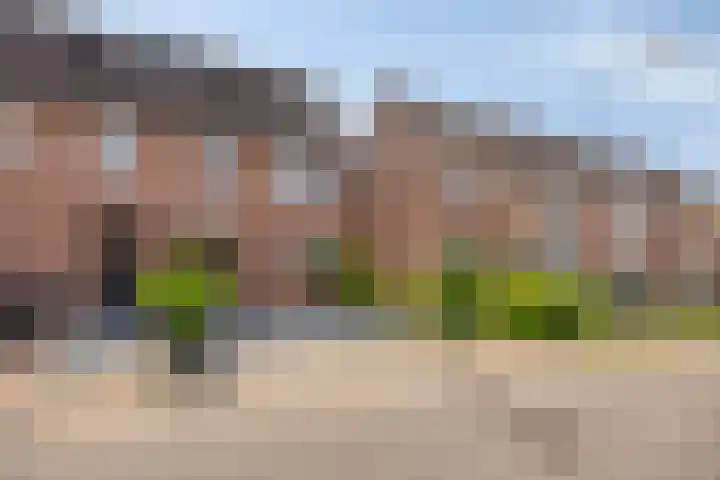 De Pol 25 Doesburg thumbnail 6