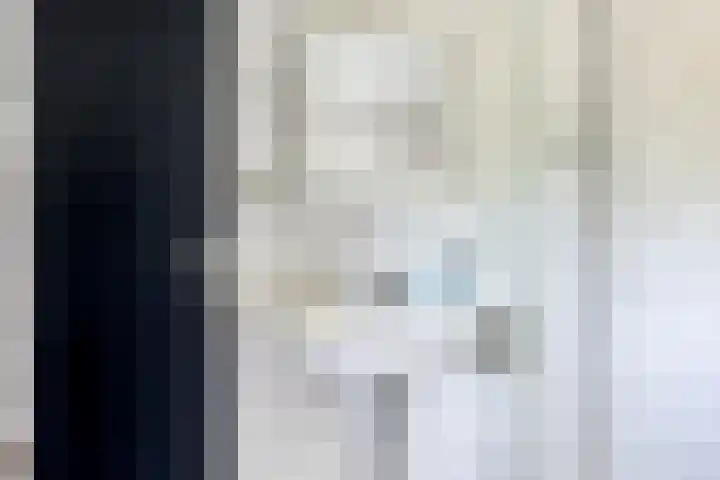 De Pol 27 De Pol thumbnail 15