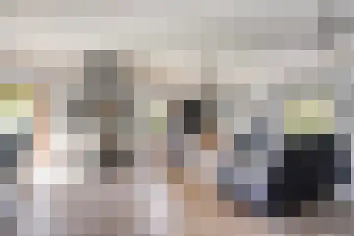 De Pol 27 De Pol foto 2