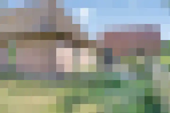De Pol 27 De Pol thumbnail 29