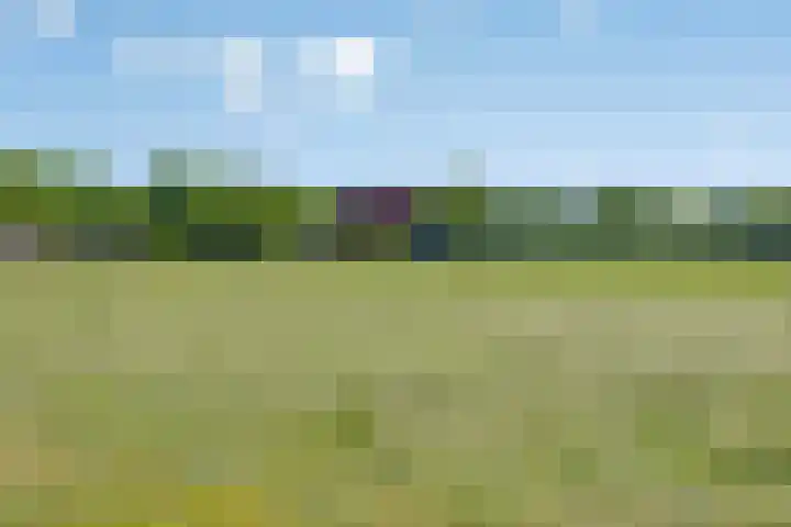 De Pol 27 De Pol thumbnail 36