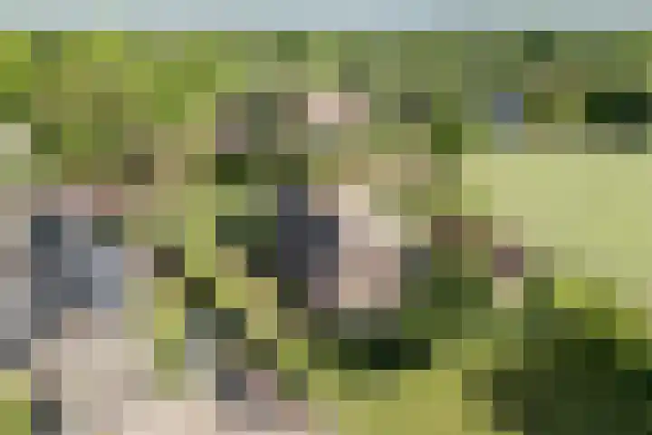De Pol 27 De Pol thumbnail 41