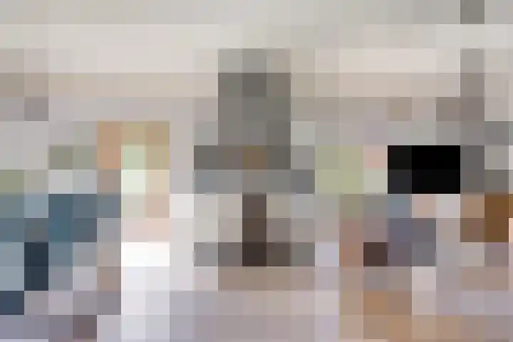 De Pol 27 De Pol thumbnail 5