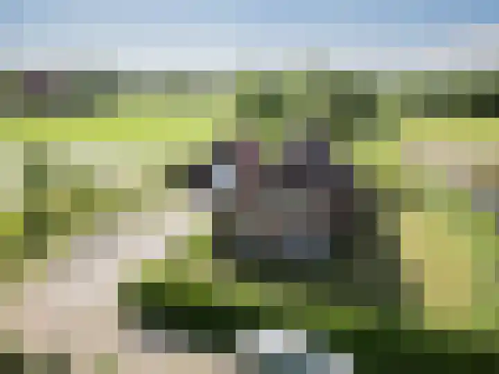 De Pol 27 De Pol thumbnail 53