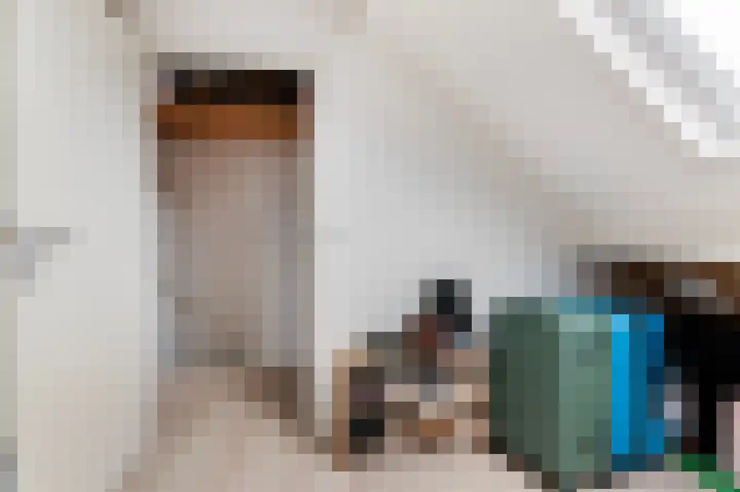 De Pol 27 Doesburg thumbnail 22