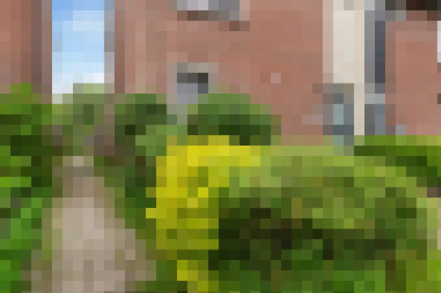 De Pol 27 Doesburg thumbnail 28