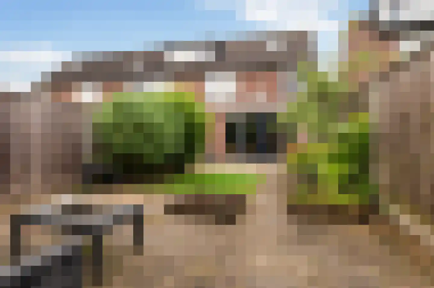 De Pol 27 Doesburg thumbnail 30