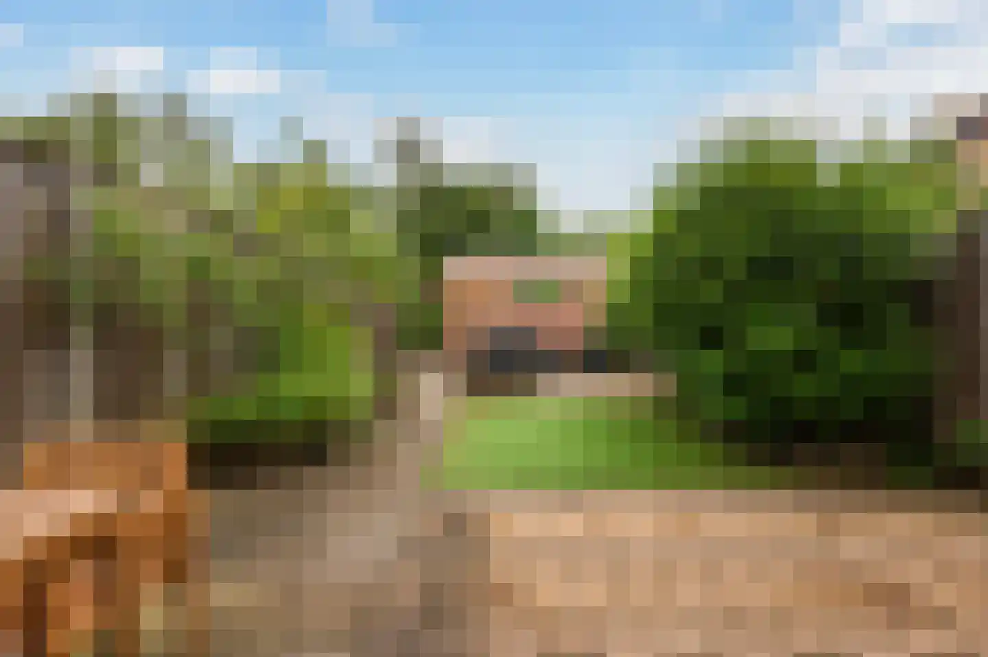 De Pol 27 Doesburg thumbnail 32