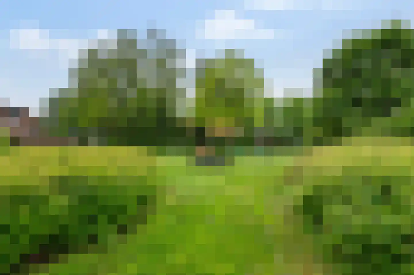 De Pol 27 Doesburg thumbnail 33