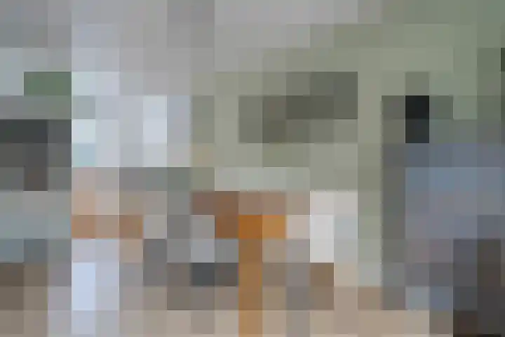 De Pol 3 Hasselt thumbnail 11