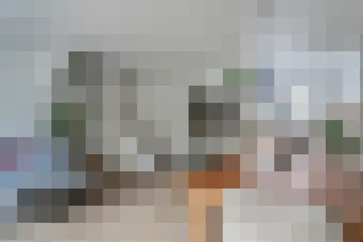 De Pol 3 Hasselt thumbnail 12