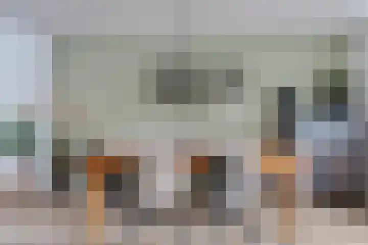 De Pol 3 Hasselt thumbnail 13