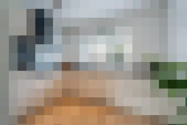 De Pol 3 Hasselt thumbnail 14