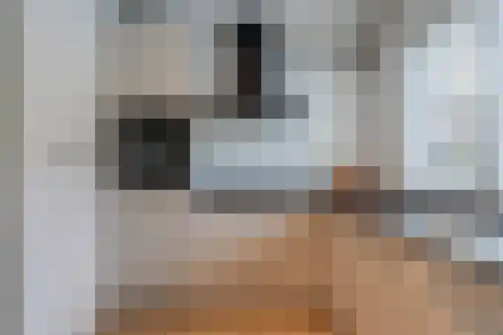 De Pol 3 Hasselt thumbnail 15