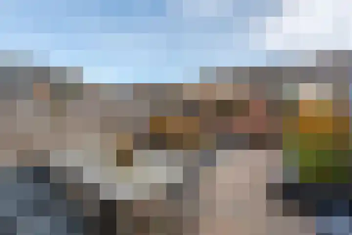 De Pol 3 Hasselt thumbnail 17