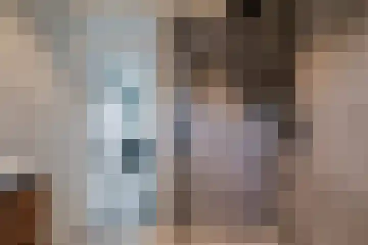 De Pol 3 Hasselt thumbnail 25
