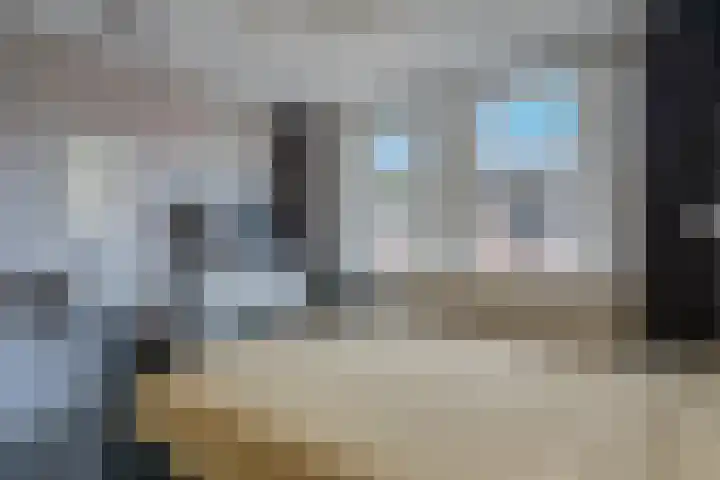 De Pol 3 Hasselt thumbnail 27