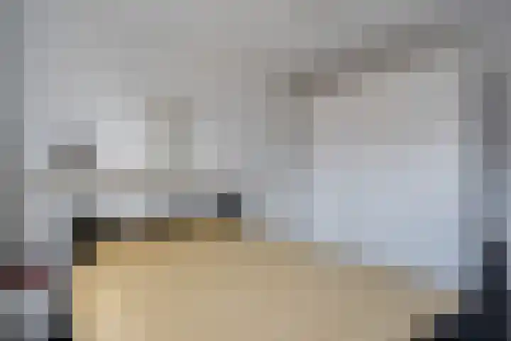 De Pol 3 Hasselt thumbnail 28