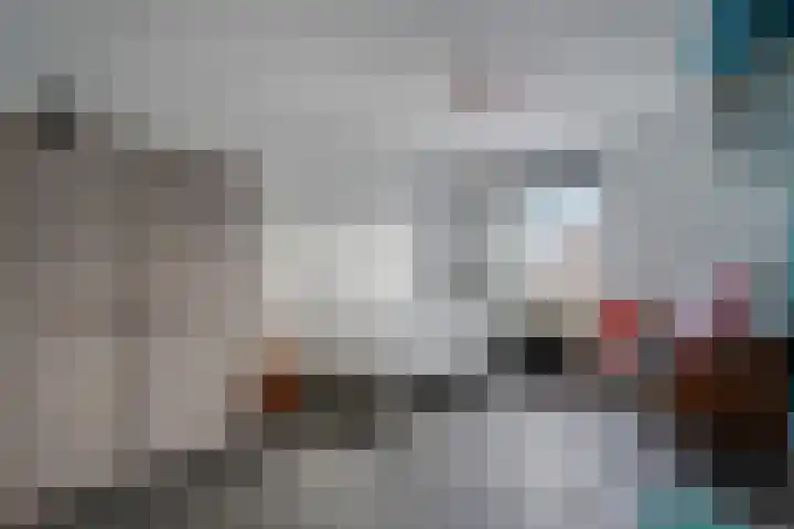 De Pol 3 Hasselt thumbnail 29
