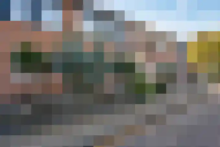 De Pol 3 Hasselt foto 3