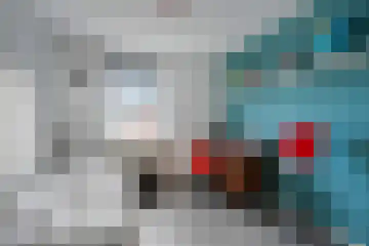 De Pol 3 Hasselt thumbnail 30