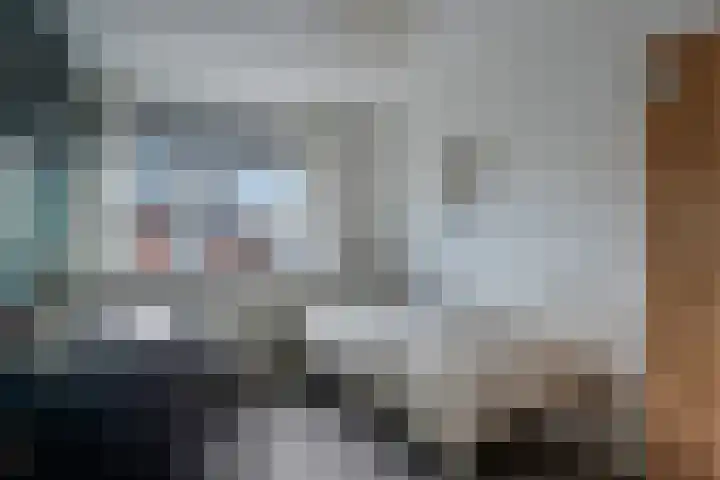 De Pol 3 Hasselt thumbnail 32