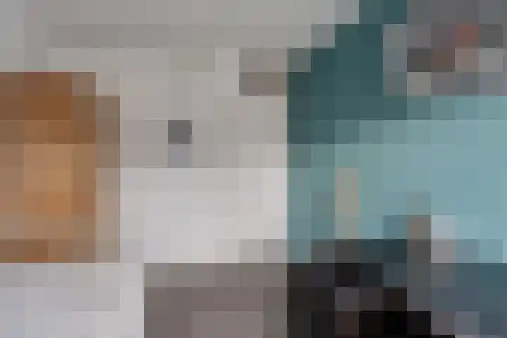 De Pol 3 Hasselt thumbnail 33