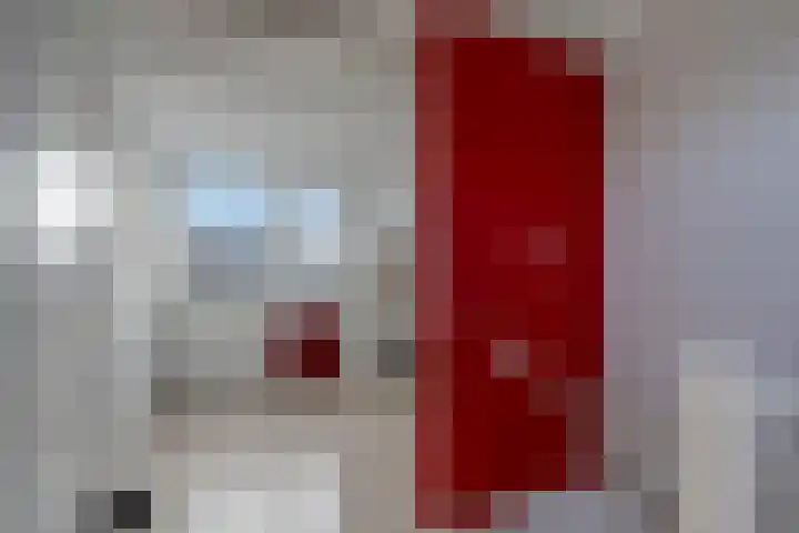 De Pol 3 Hasselt thumbnail 35