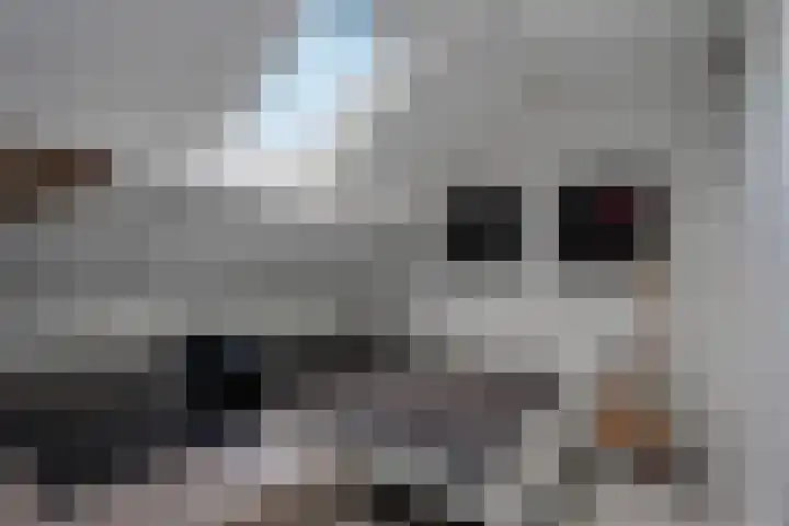 De Pol 3 Hasselt thumbnail 36