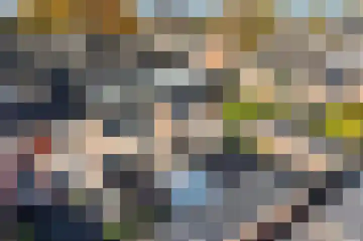 De Pol 3 Hasselt thumbnail 40