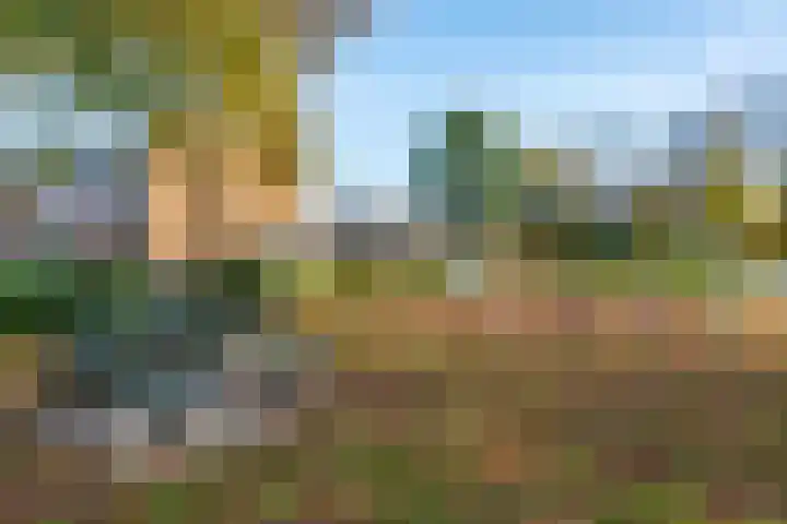 De Pol 3 Hasselt thumbnail 45