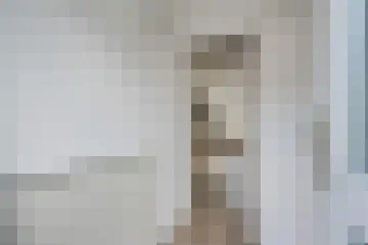 De Pol 3 Hasselt thumbnail 5