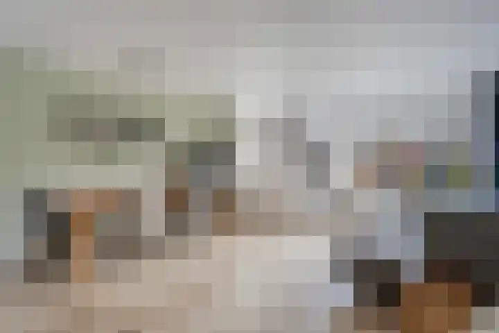 De Pol 3 Hasselt thumbnail 7