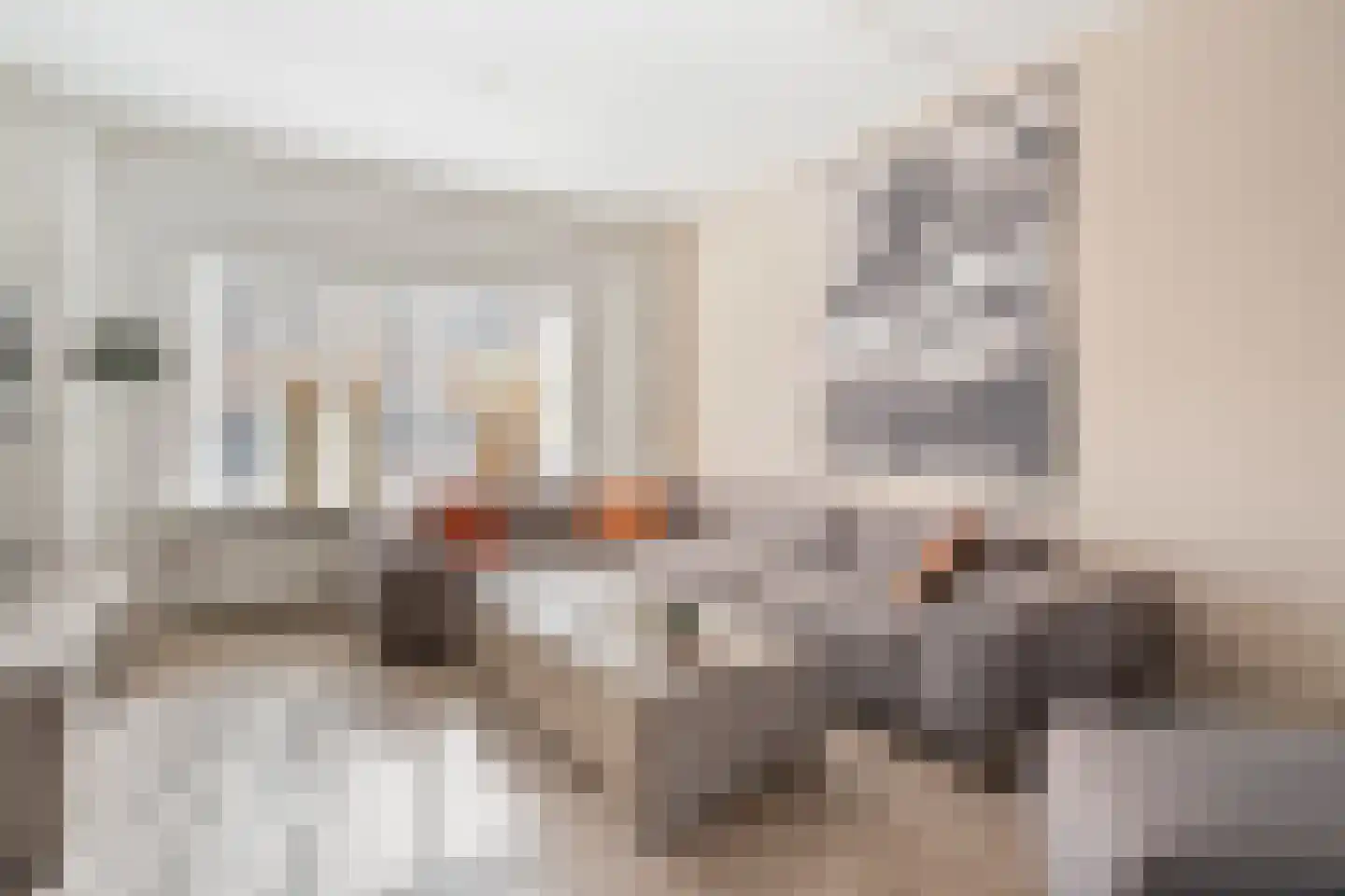 De Pol 4 Hasselt thumbnail 15