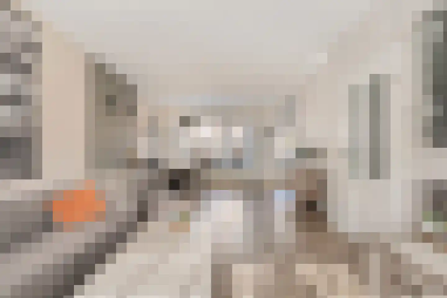 De Pol 4 Hasselt thumbnail 18