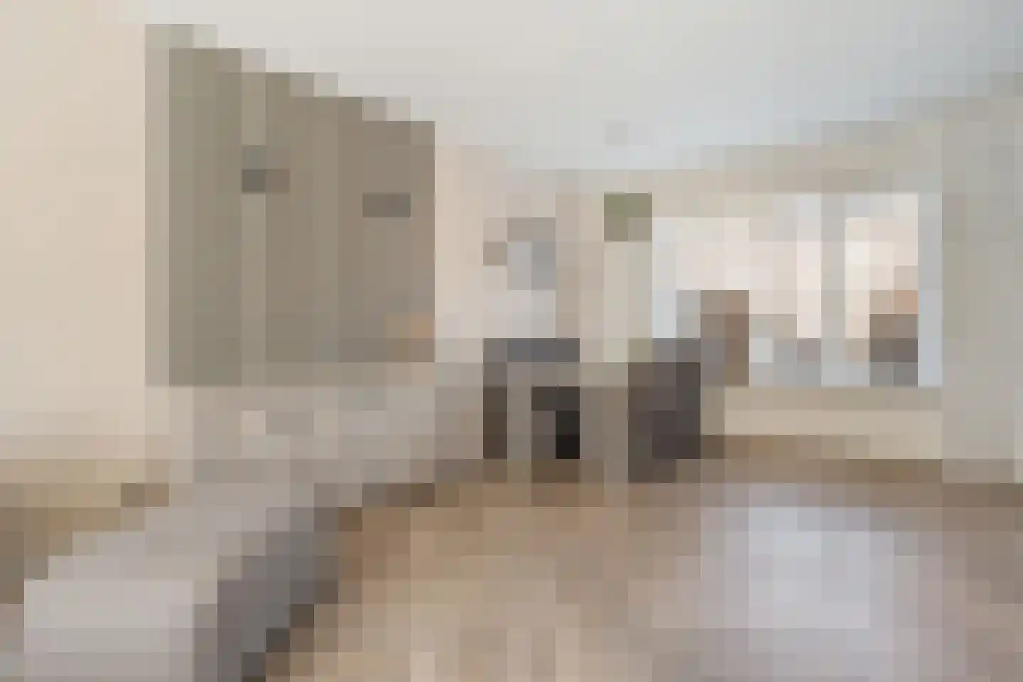 De Pol 4 Hasselt thumbnail 19
