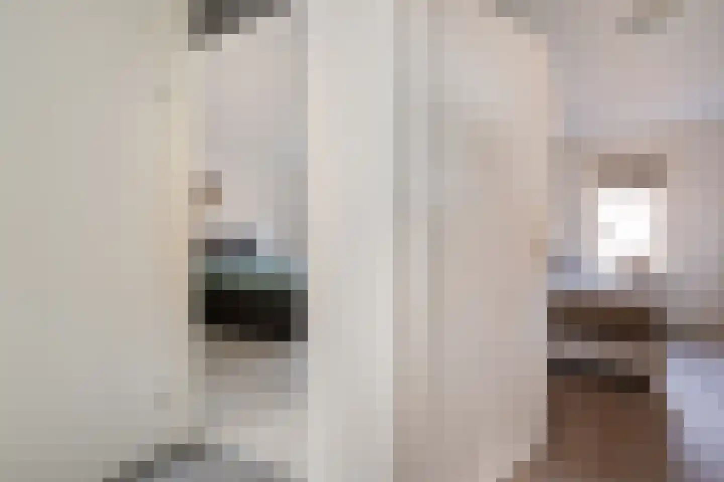De Pol 4 Hasselt thumbnail 33