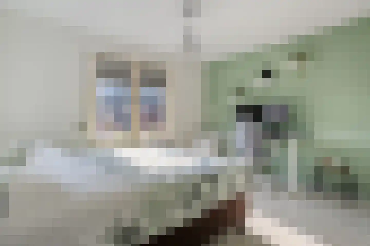 De Pol 4 Hasselt thumbnail 41
