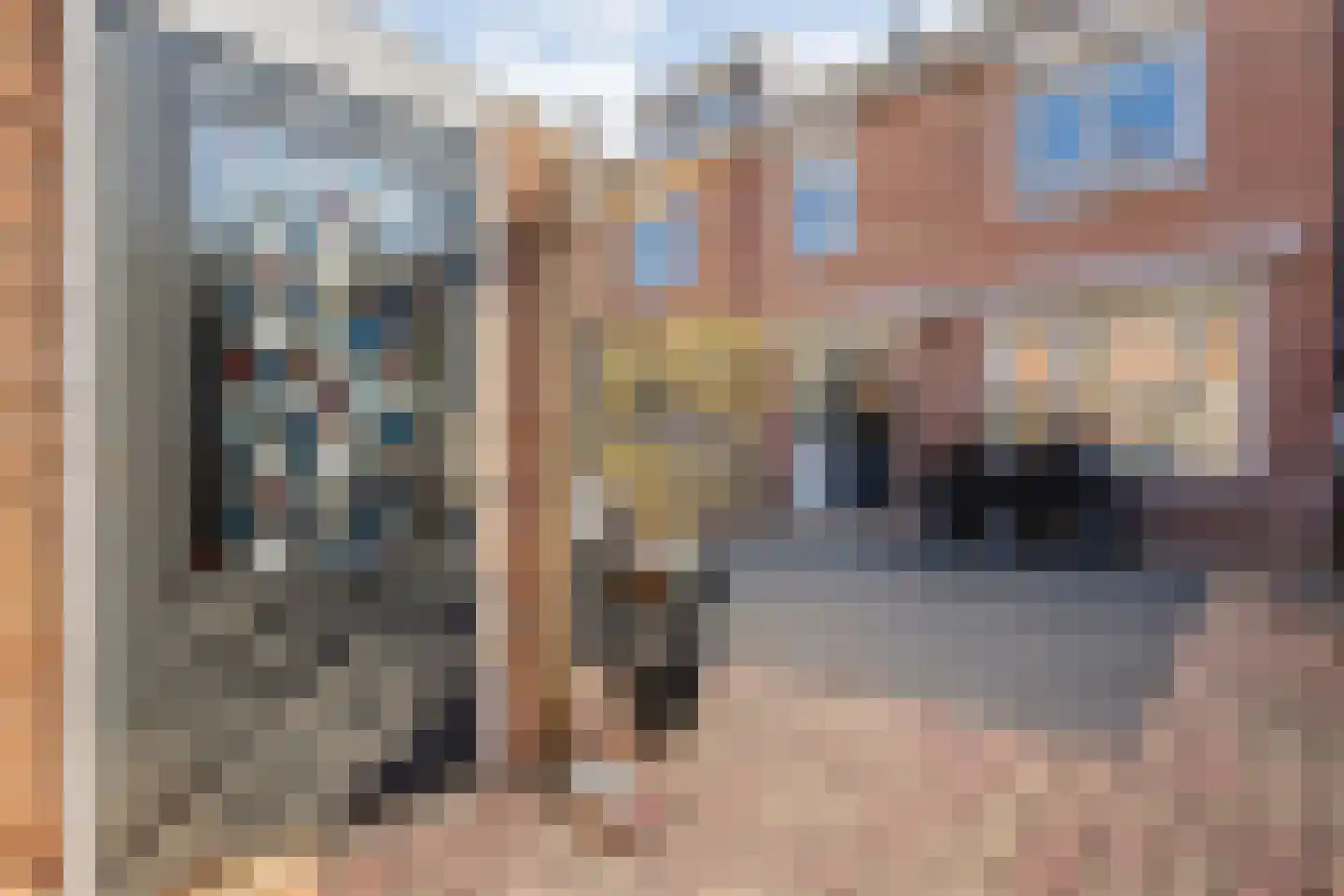 De Pol 4 Hasselt thumbnail 54