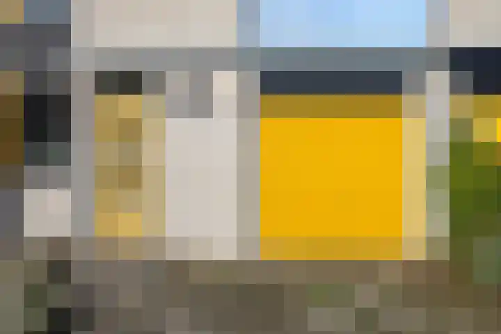 De Pol 69 Doesburg thumbnail 10