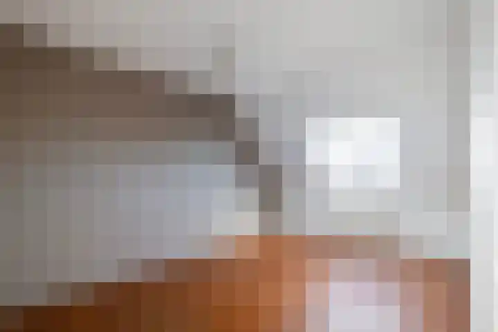 De Pol 69 Doesburg thumbnail 11