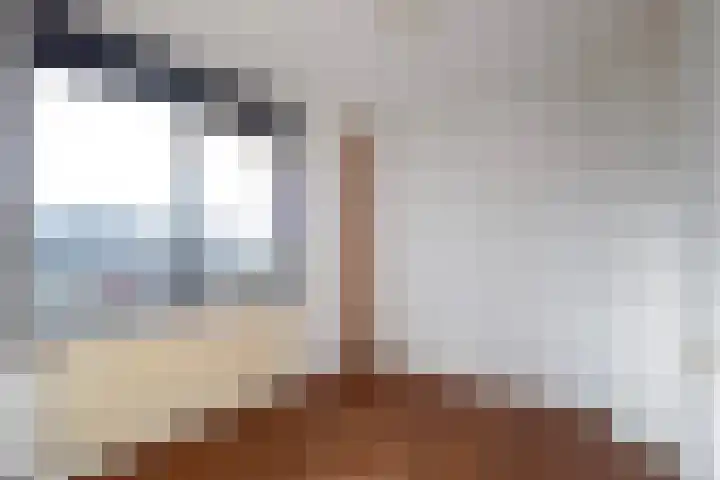 De Pol 69 Doesburg thumbnail 12
