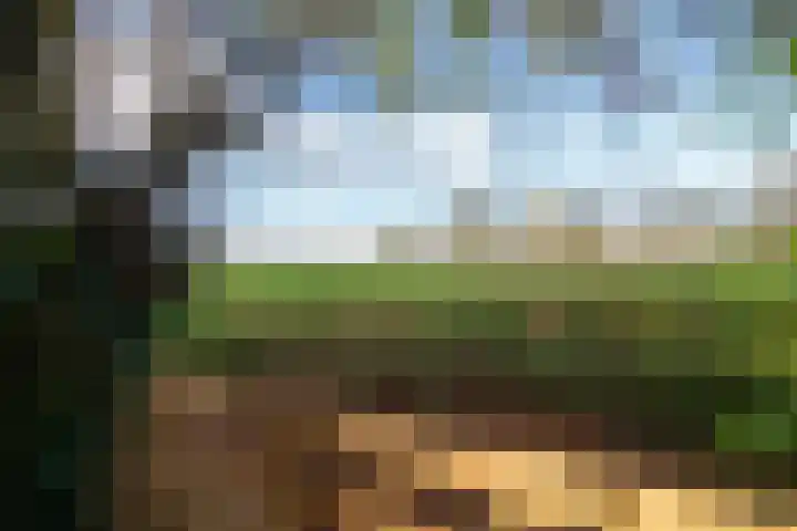 De Pol 69 Doesburg thumbnail 18