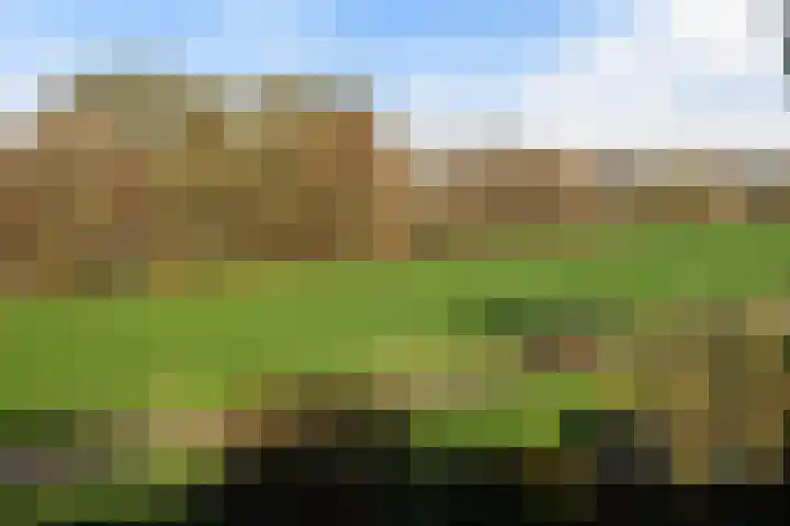 De Pol 69 Doesburg thumbnail 19