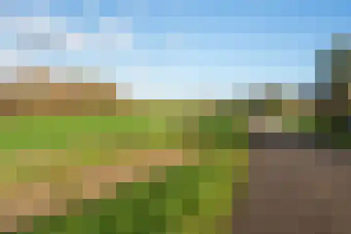 De Pol 69 Doesburg thumbnail 20