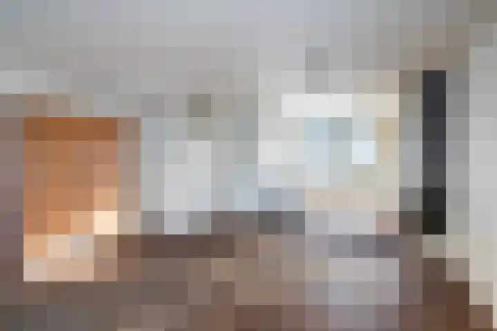 De Pol 69 Doesburg thumbnail 6