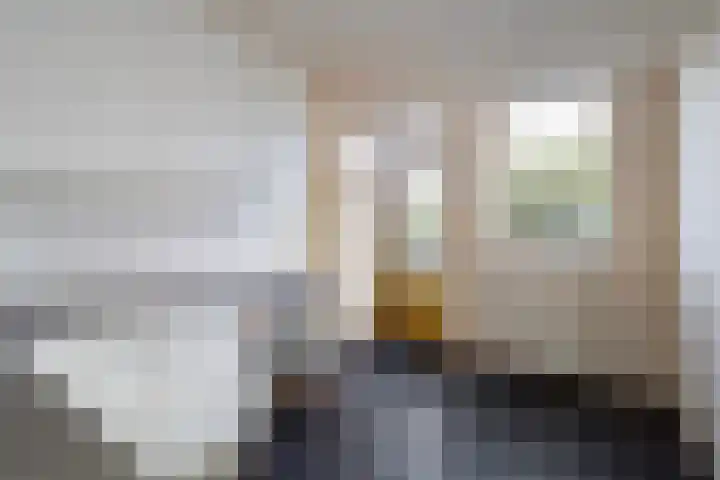 De Pol 69 Doesburg thumbnail 8