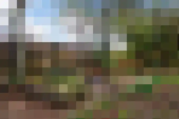 De Pol 69 Doesburg thumbnail 9