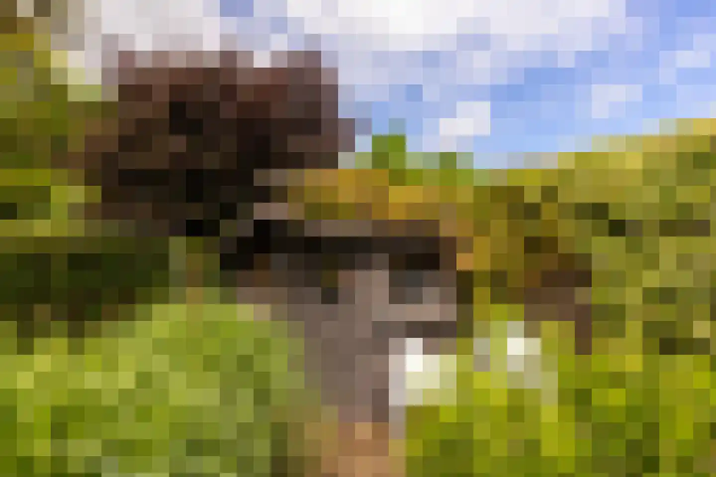 De Pol 73 Doesburg thumbnail 23